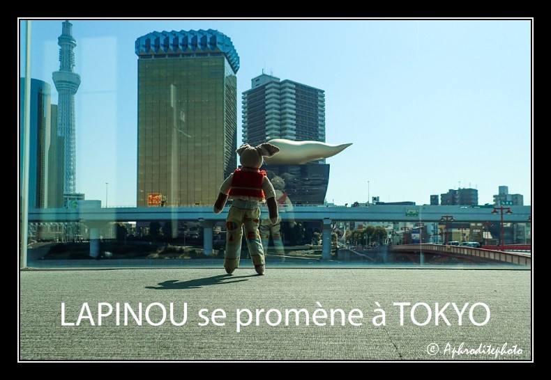 The Lapinou walk in Tokyo 2015